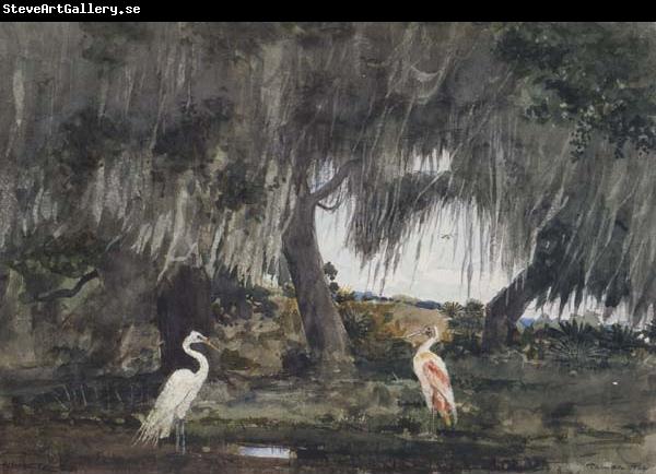 Winslow Homer At Tampa (mk44)